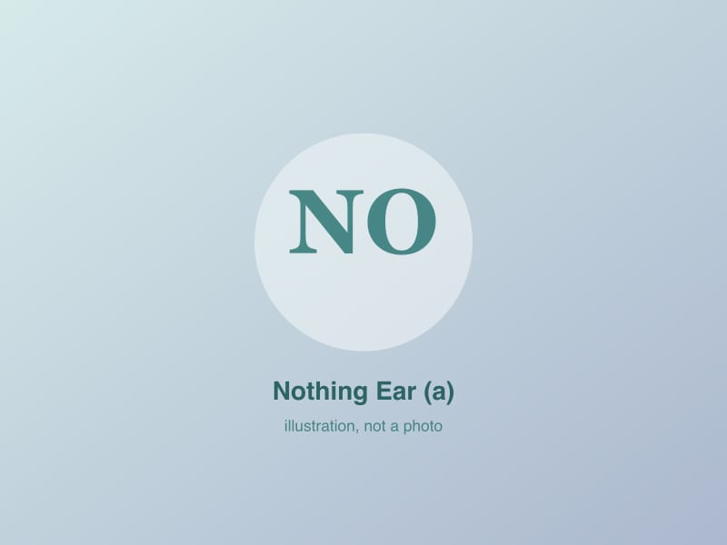 Placeholder graphic, not a product photo